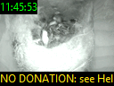 11:45:53