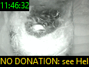 11:46:32