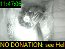 11:47:06