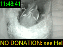 11:48:41