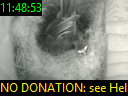 11:48:53