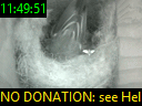 11:49:51