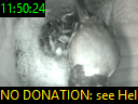 11:50:24