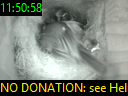 11:50:58