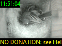 11:51:04