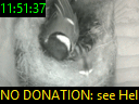 11:51:37