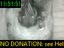 11:51:51