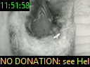 11:51:58