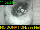 11:52:31