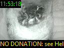 11:53:18