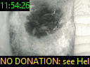 11:54:26