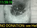 11:59:19