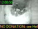 12:00:50
