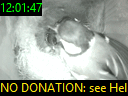 12:01:47