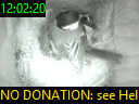 12:02:20