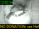12:02:54