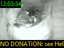 12:03:34