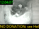 12:04:07