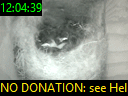 12:04:39