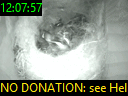 12:07:57