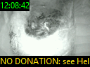 12:08:42