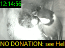 12:14:56