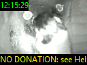 12:15:29