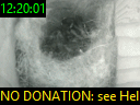 12:20:01