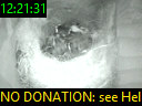 12:21:31