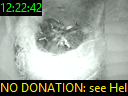 12:22:42
