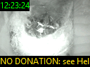 12:23:24
