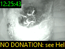 12:25:43