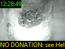 12:28:49