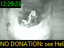 12:29:23