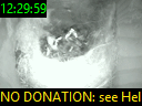 12:29:59
