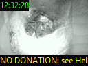12:32:28