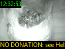 12:32:53