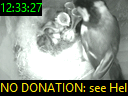 12:33:27