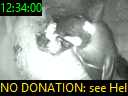 12:34:00