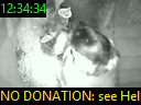 12:34:34