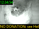 12:34:54