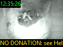 12:35:26