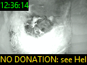 12:36:14