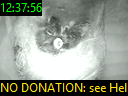12:37:56