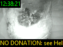 12:38:21
