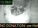 12:39:01