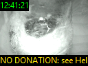 12:41:21