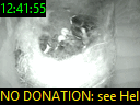 12:41:55