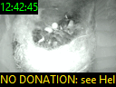 12:42:45
