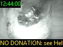 12:44:00